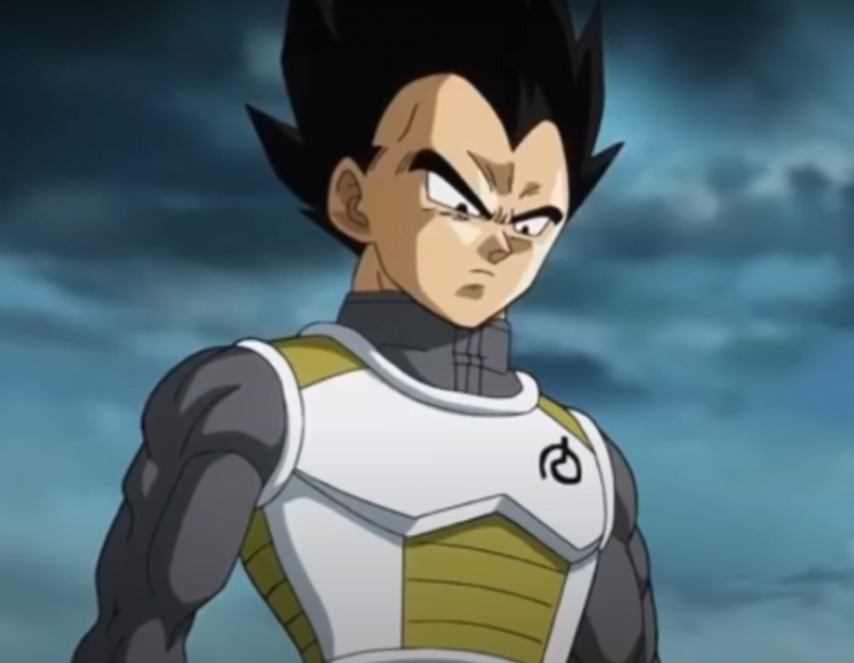 Vegeta E1665669959455 768x596